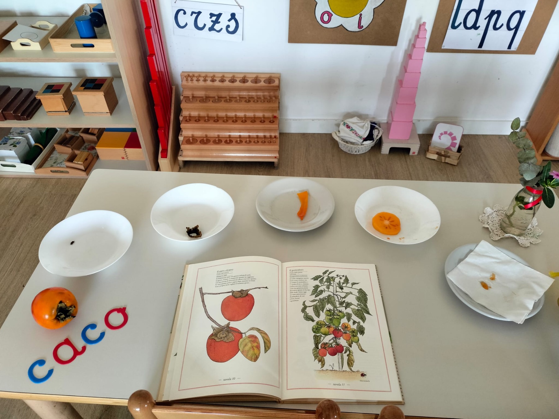 Osservazione scientifica di un frutto nell'ambiente Montessori